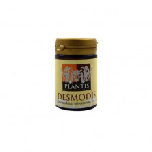 Desmodium 60cap