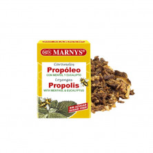 Caramelos Sin Azucar De Propoleo Mentol 36.5g