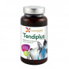 Tendiplus 90cap