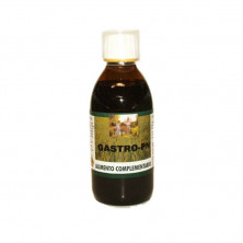 Gastro Pn 250ml