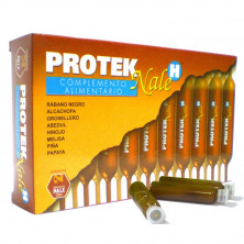 Protek Nale 20amp