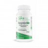 Mangostanlider 20% 60cap