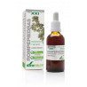 Rompepiedra Extracto Xxi Con Dosificador 50ml