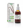 Salicaria Extracto Xxi Con Dosificador 50ml