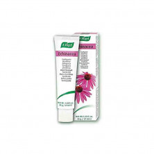 Dentaforce Echinacea Pasta 100g