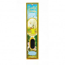 Stick Incienso Benjui 12ud