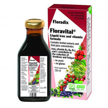 Floradix Floravital 250ml