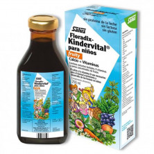 Floradix Kindervital Fruity 250ml