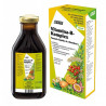 Vitamina B Komplex 250ml