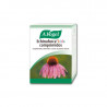 Echinaforce Kids Masticable 80comp