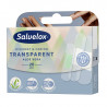 Apositos Plastico Aloe Vera 20ud