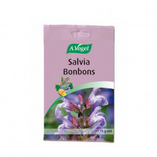 Echinacea Bombons Bolsa 75g