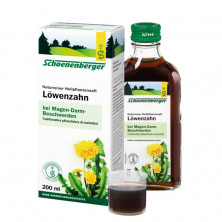 Diente De Leon Bio 200ml