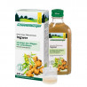 Jengibre Bio 200ml