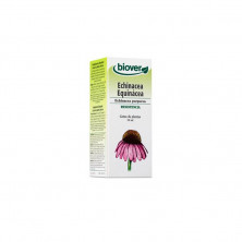 Echinacea Purpurea 50ml