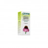 Echinacea Purpurea 50ml