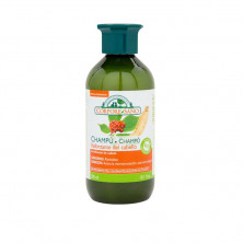 Champu Ginseng Ginkgo Reforzante 300ml