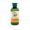 Champu Ginseng Ginkgo Reforzante 300ml