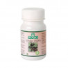 Ginkgo Biloba 700mg 100comp