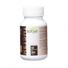 Reishi 500mg 90cap