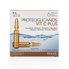 Proteoglicanos Vitamina C Caja 6ud