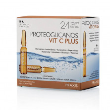 Proteoglicanos Vitamina C Caja 24ud