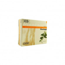 Plantaggio Hb 20 Viales