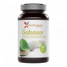 Gabasor 100cap