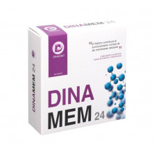Dinamen 24 20 Viales