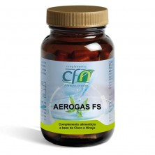 Aerogas Fs 90cap