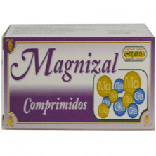 Magnizal 60comp