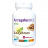 Astragalus 8000 30 Caps - Sura Vitasan