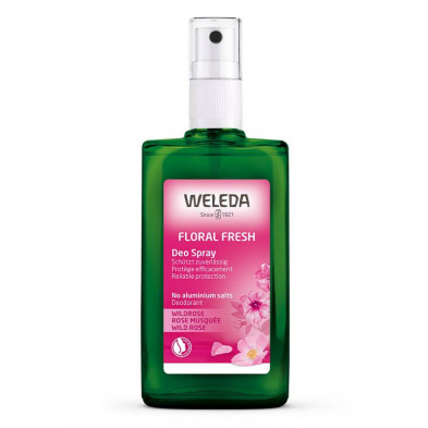Desodorante Spray Rosa Mosqueta Floral Fresh 100ml - Weleda Desodorante Spray Rosa Mosqueta Floral Fresh 100ml - Weleda