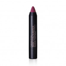 Labial Basic Colourstick Nº8 Berenjena - Camaleón
