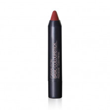 Labial Basic Colourstick Nº7 Tierra - Camaleón