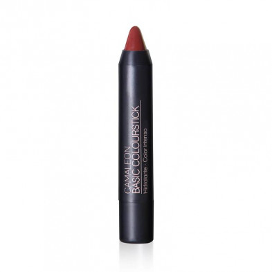 Labial Basic Colourstick Nº7 Tierra - Camaleón