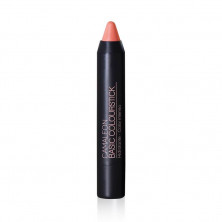 Labial Basic Colourstick Nº5 Nude - Camaleón
