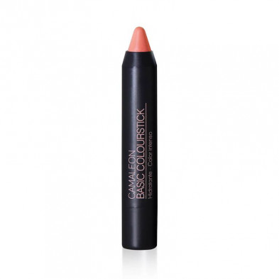 Labial Basic Colourstick Nº5 Nude - Camaleón