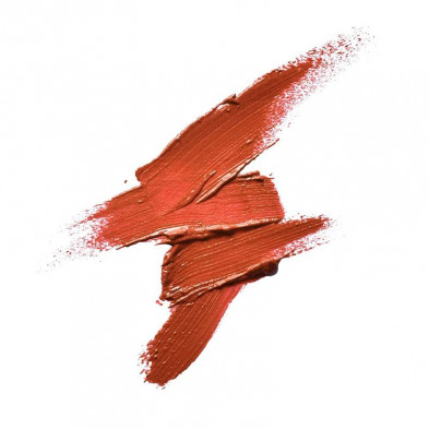 Labial Basic Colourstick Nº7 Tierra - Camaleón