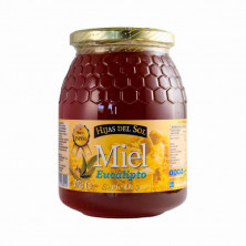 Miel Eucalipto 1kg - Hijas Del Sol
