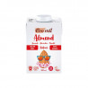 Bebida Almendra Nature Bio 500ml - Ecomil
