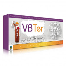Vb Ter Rompepiedras 20 Viales