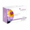 Lotus 365mg 60comp