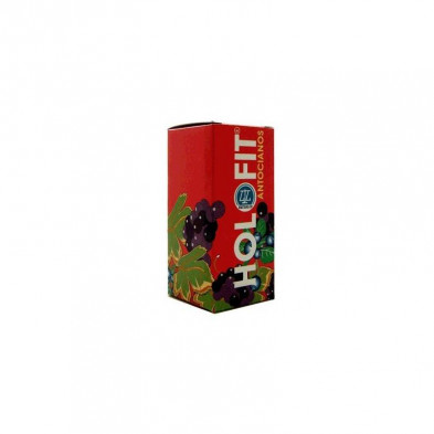 Holofit Antocianos Plus 60cap Holofit Antocianos Plus 60cap