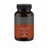 Enzimas Digestivas Complex 100cap