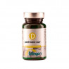 Base Definida 3qp 60comp