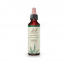 Agrimony Agrimonia 20ml