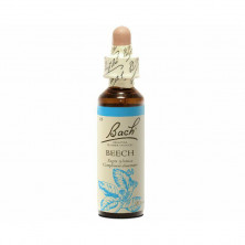 Beech Haya 20ml