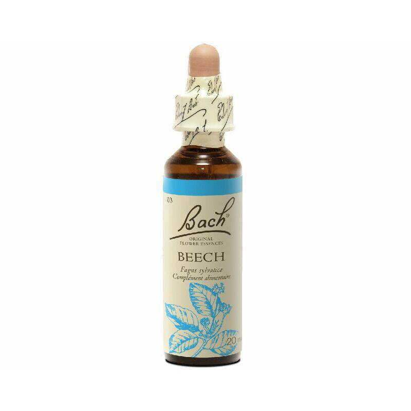 Beech Haya 20ml
