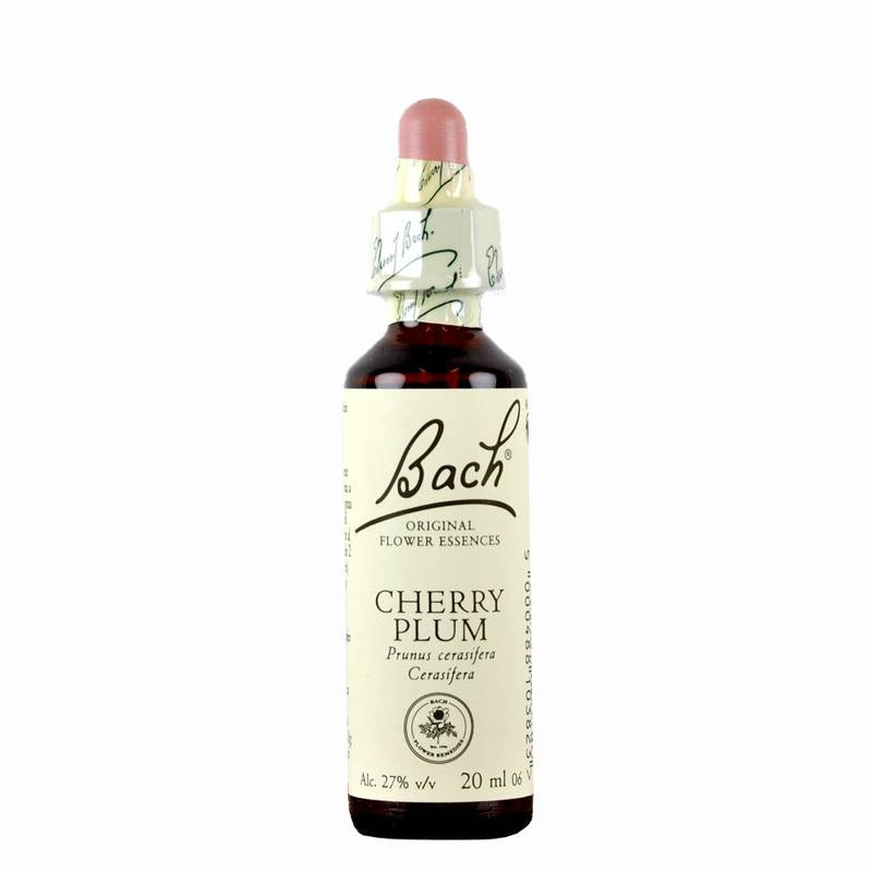 Cerasifera Cherry Plum 20ml